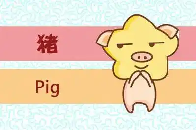 1983年生肖属猪36岁后命好整体运势开始上升