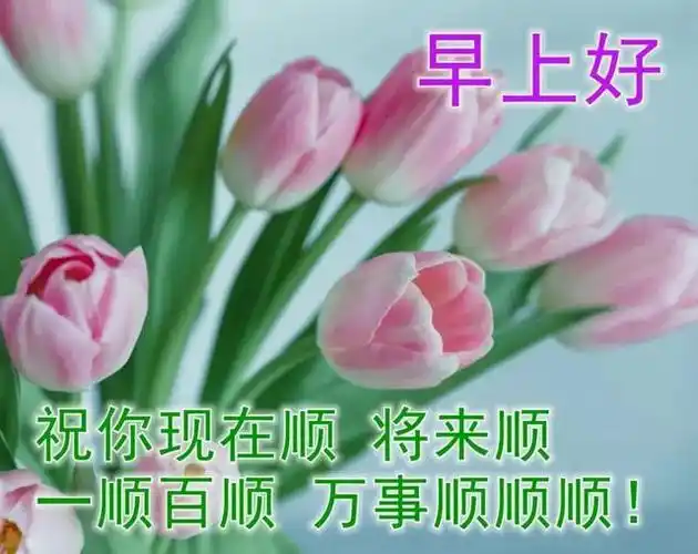 微信非常漂亮早晨问候表情 早上好图片带字和鲜花