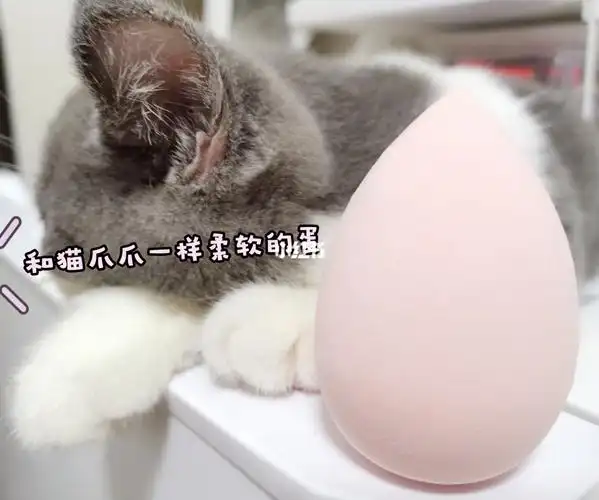 猫咪爪爪你好软