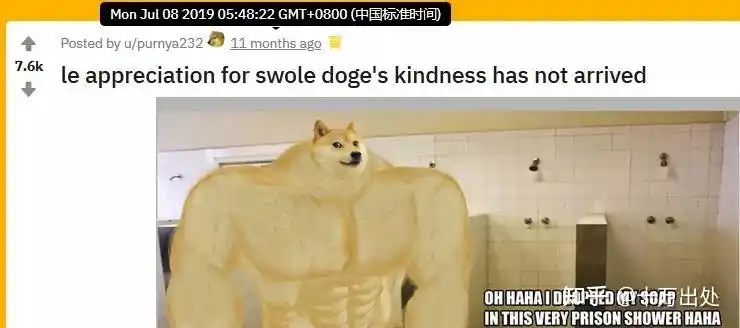 谢谢你xx这是什么梗