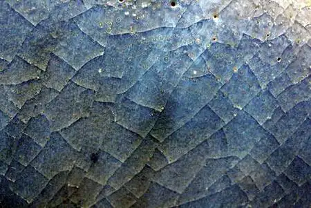 古陶瓷鉴定中的气泡问题