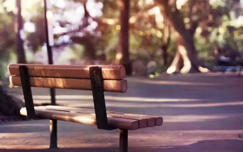 宁静唯美静物意境高清桌面壁纸