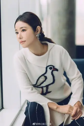 林心如-堆糖,美好生活研究所