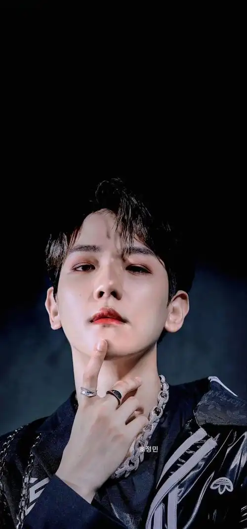 边伯贤蓝丝绸案件