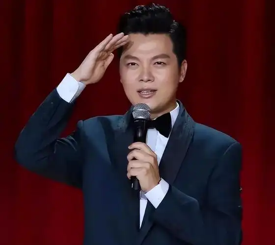 主持过10届央视春晚