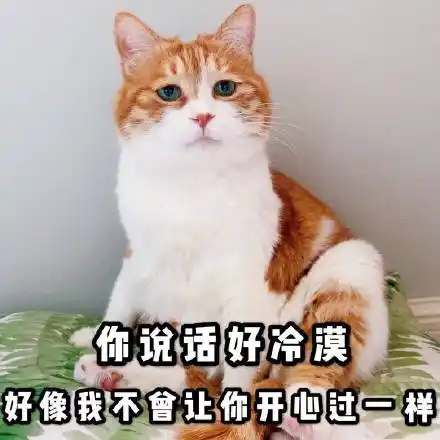 好像我不会让你开心过一样呆萌可爱gif动图_动态图_表情包下载_soogif