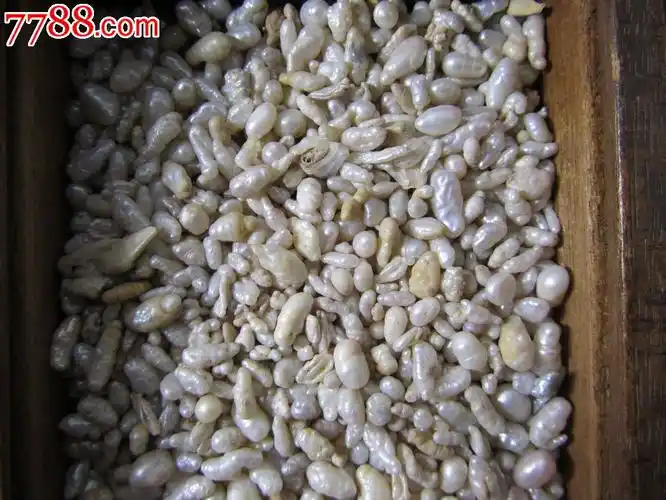 野生老珍珠一盒