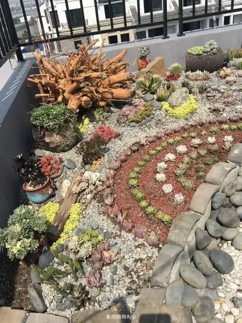 多肉地栽花园 完工