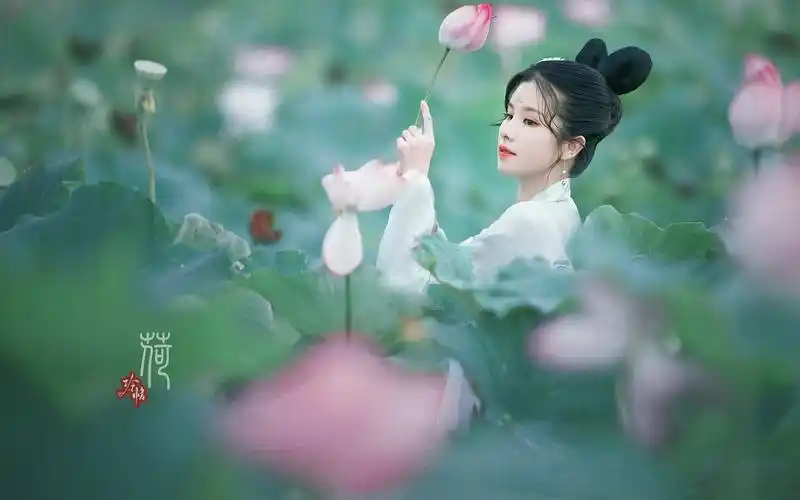 《莲花楼》即将迎来大爆古装爆款剧作或将大爆-囧茄