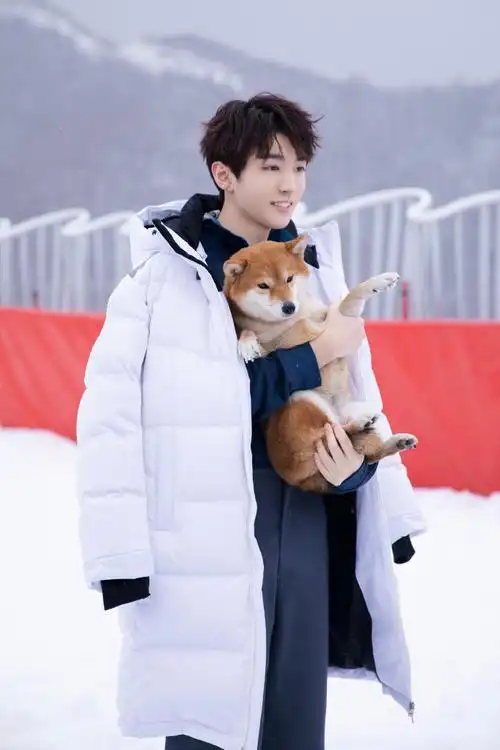 王俊凯冬日雪景大片明媚可爱少年怀抱柴犬暖意盎然