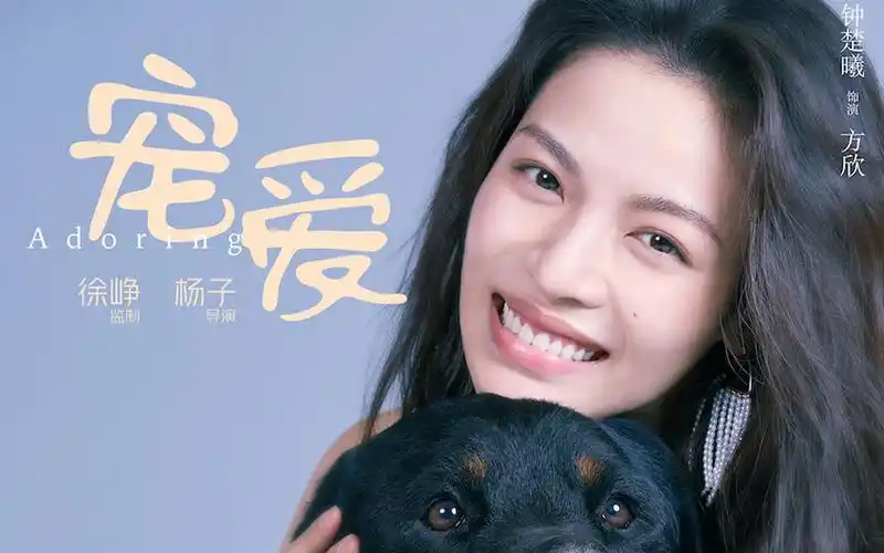 爱情喜剧电影宠爱