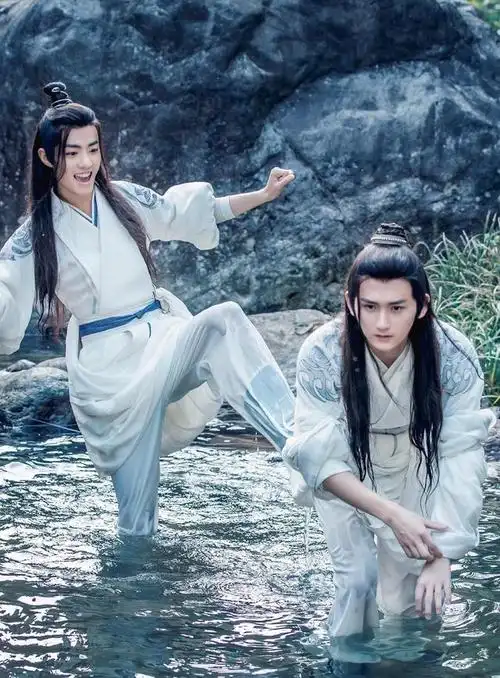 是一部2019年播出的古装仙侠剧,由肖战,王一博,孟子义,宣璐,汪卓成