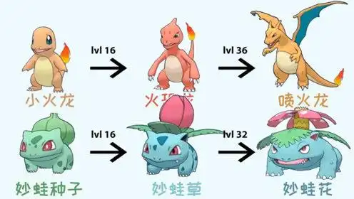 精灵宝可梦:神奇宝贝的进化链!