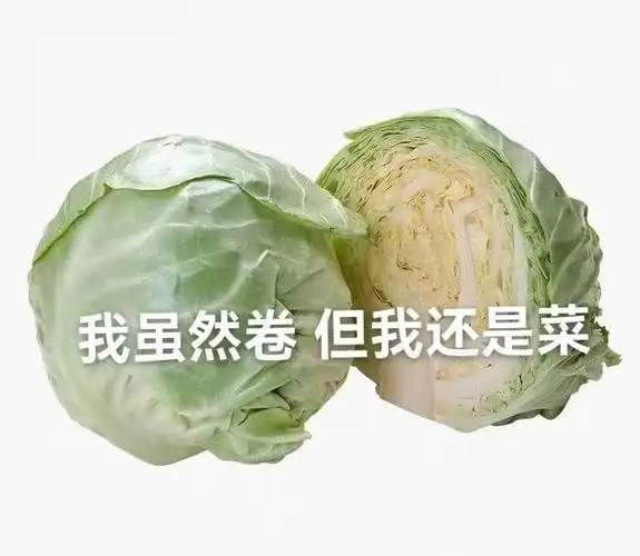 我虽然卷但我还是菜还是虽然表情