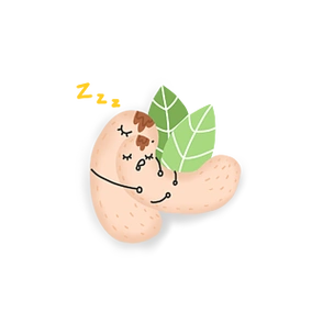 手绘可爱坚果腰果卡通素材元素