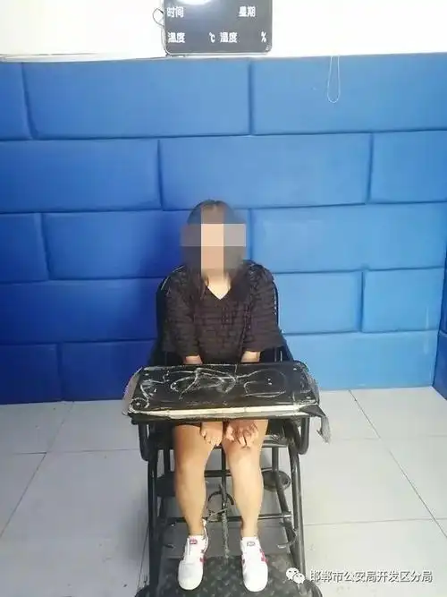 邯郸女子李某卫被抓!|犯罪|诈骗罪|刑事拘留_网易订阅