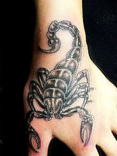 纹身主页 纹身图案大全 蝎子纹身图案大全 武汉纹身店       武汉最好