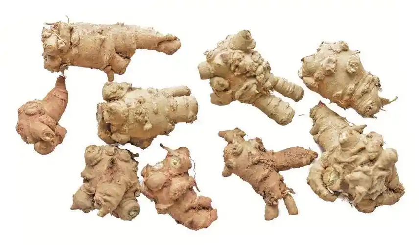 国家药典——三七_药材_人参_功效