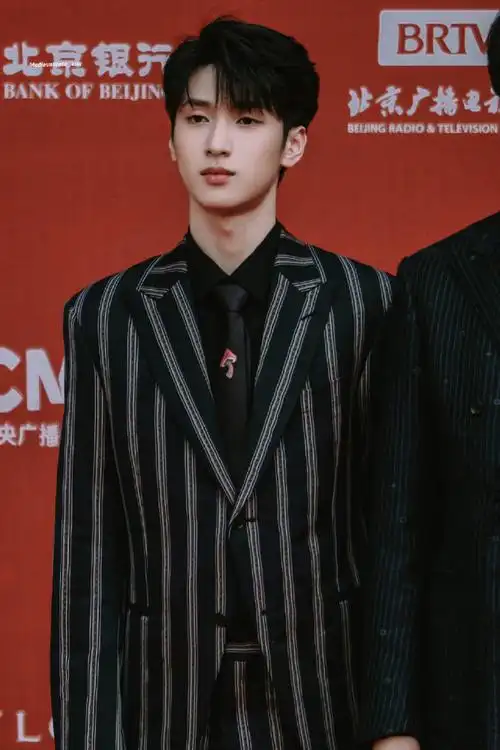 严浩翔北影节条纹西装造型