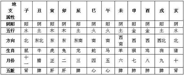 十二地支的读音