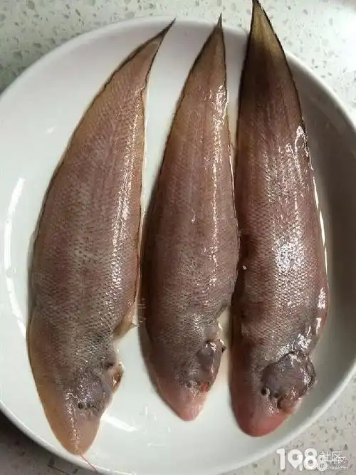 这种肉肉扁扁的鱼知道是什么鱼吗?