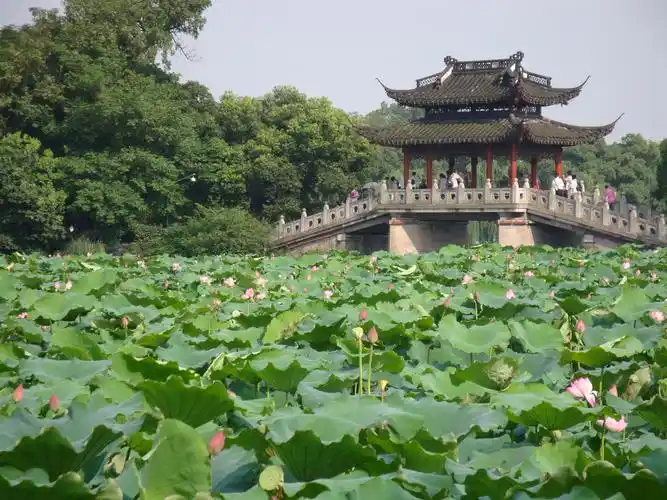 西湖图片大全_西湖风景图片/景点照片/旅游摄影【驴妈妈攻略】