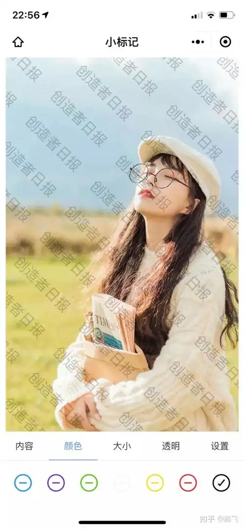 一些敏感照片,比如证件照等等不希望被滥用?打上水印来解决!