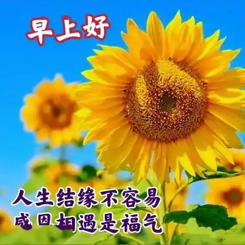 最新早上好祝福语大全,新版早上好问候语句子