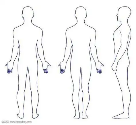 简笔画人物人体比例的口诀是什么人体型简笔画人体绘画简笔画人体动漫