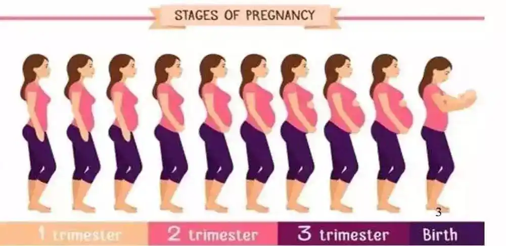 产后体型如何恢复?