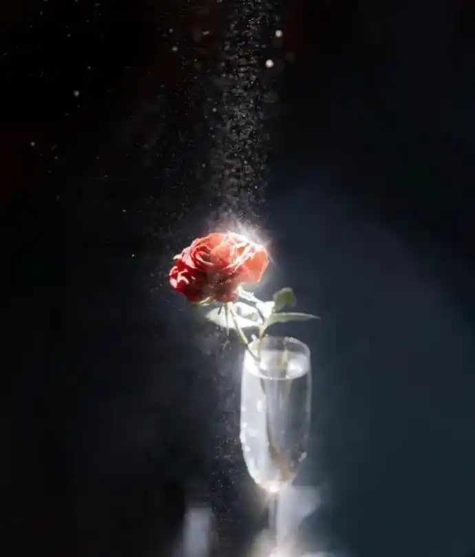 适合发朋友圈的简单明了句子,值得细品,霸气高冷