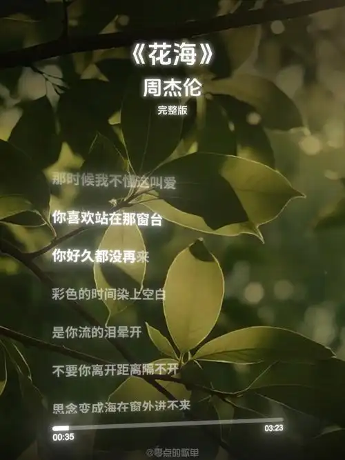 《花海》周杰伦