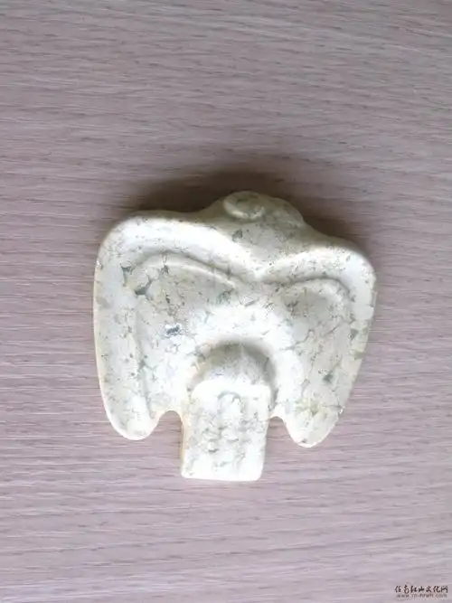 还未完全钙化的玉枭