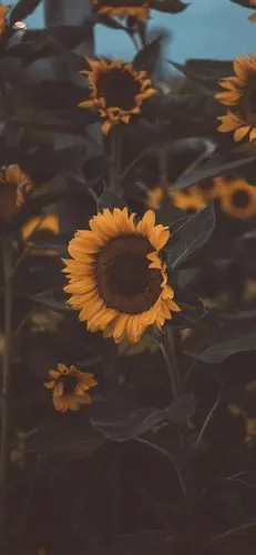 潮图- 堆糖,美图壁纸兴趣社区