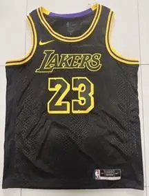 詹姆斯球衣湖人队黑色蛇纹热压球迷版篮球衣 包邮_阿里巴巴找货神器