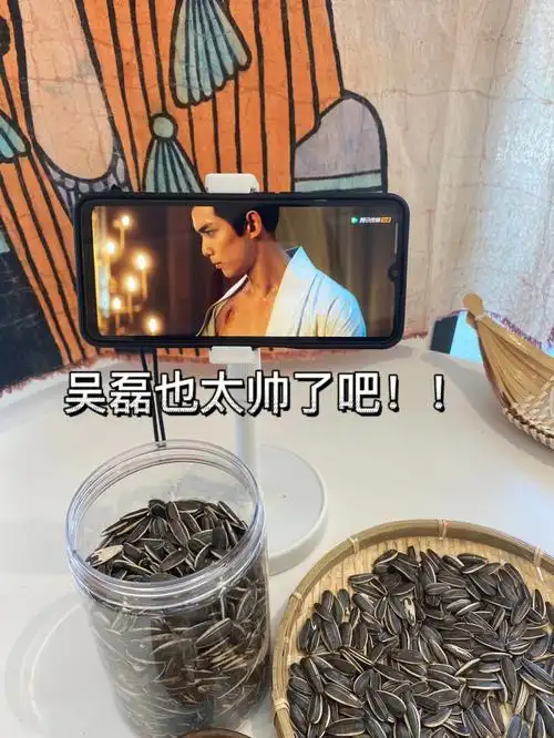 沉浸【星汉灿烂】无法自拔,拜托吴磊也太帅了吧追剧必不可少的佳品那