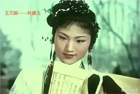 王文娟让《红楼梦》飞入寻常百姓家