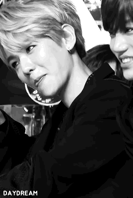 exo 边伯贤 动图 gif