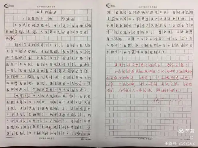 终稿 终稿是在孩子们自己完成修改之后,整齐的抄写在作文纸上的作品.