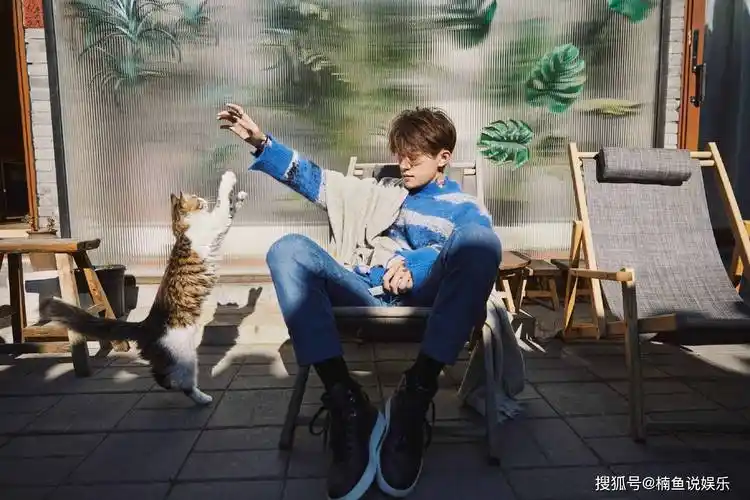 易烊千玺晒新年写真,穿蓝色毛衣抱着猫咪,治愈系男孩好帅!