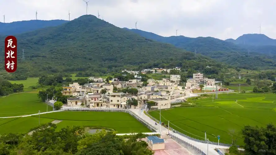 广州知青下乡50周年聚会暨参观瓦北村新农村建设概况