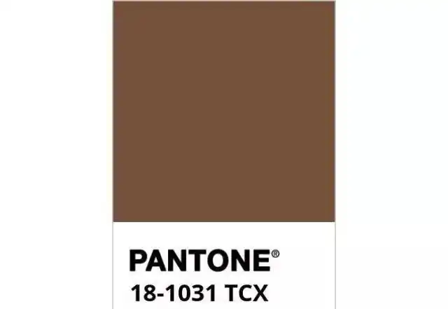 太妃糖色类似于咖啡色,比大地色多了几分暖意,低调中带着高级,让人不