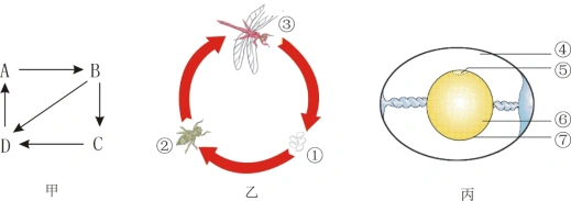 草深两部青蛙闹芹湿重檐紫燕双小荷才露尖尖角早有蜻蜓立上头古诗词中