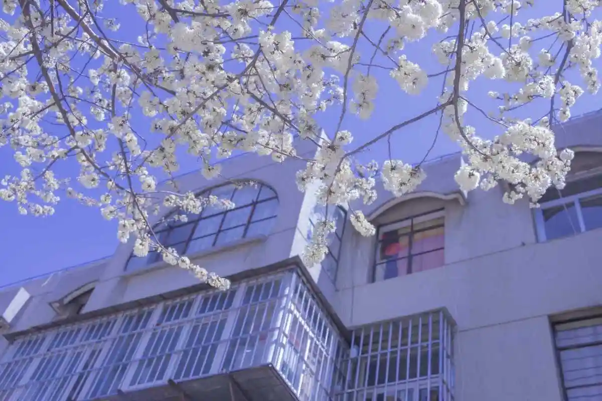 治愈系蓝色滤镜风景ipad壁纸