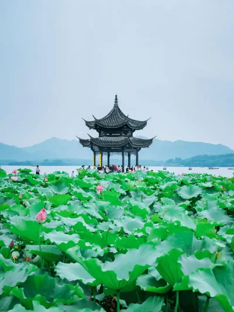 7815景点级别:aaaaa级 99西湖无疑是杭州之美的代表,很有名的"