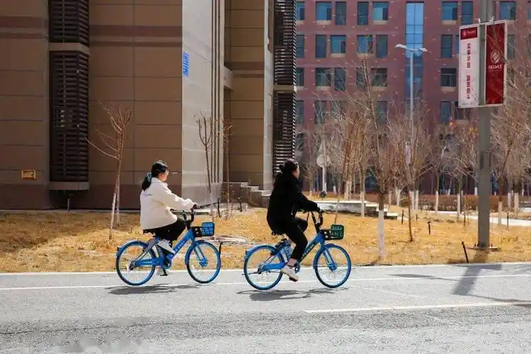 消息来源于校园管理部图片:韩佳驹 李小丫 许佳慧 朱宏淇海报:贾志浩