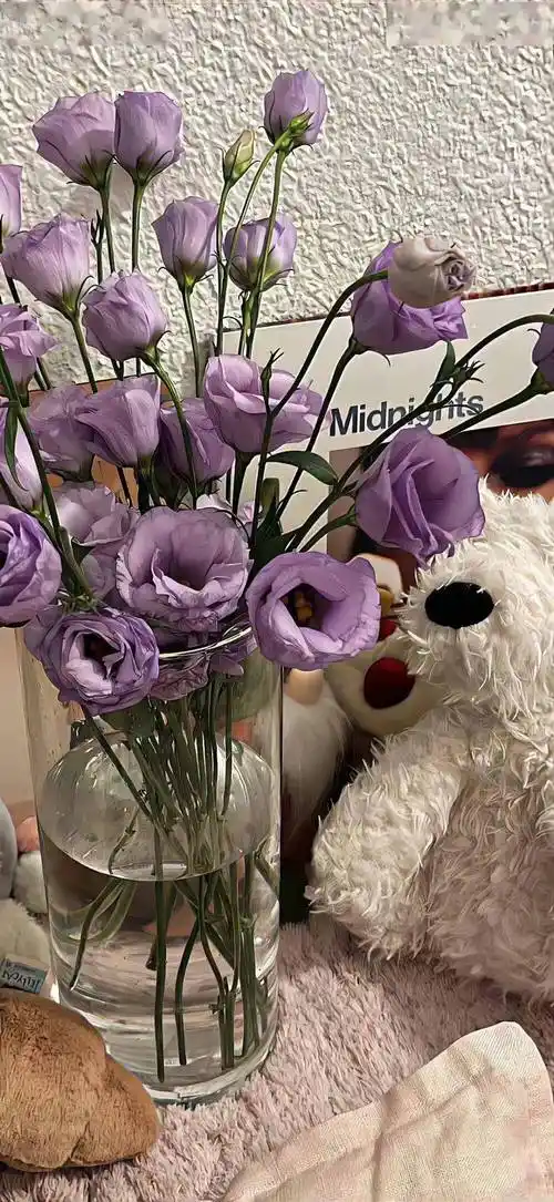 壁纸| 壁纸ins高级质感精选