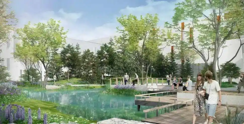 奥雅做的"雨水生态"景观设计,上了热搜!_花园_绿地_植物