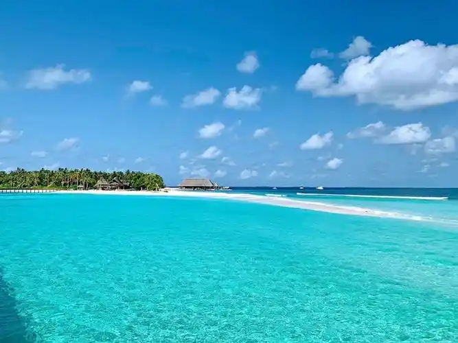 物竞天择,尽显大自然的残酷 一直以来的梦想就是看着马尔代夫的海景吃