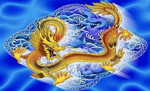 910_550gif 动态图 动图